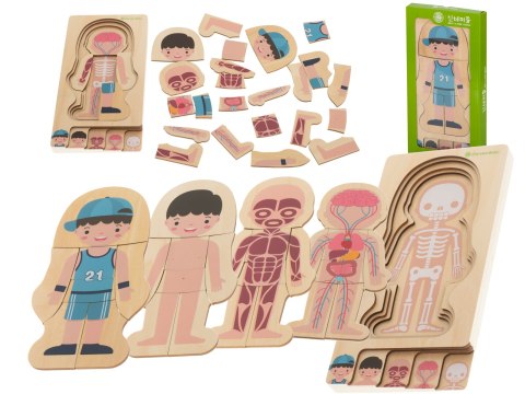 Puzzle drewniane warstwowe budowa ciała montessori chłopiec Puzzle drewniane warstwowe budowa ciała montessori chłopiec