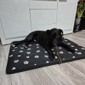 Legowisko 100x70cm dla psa Purlov 24862 Legowisko 100x70cm dla psa Purlov 24862
