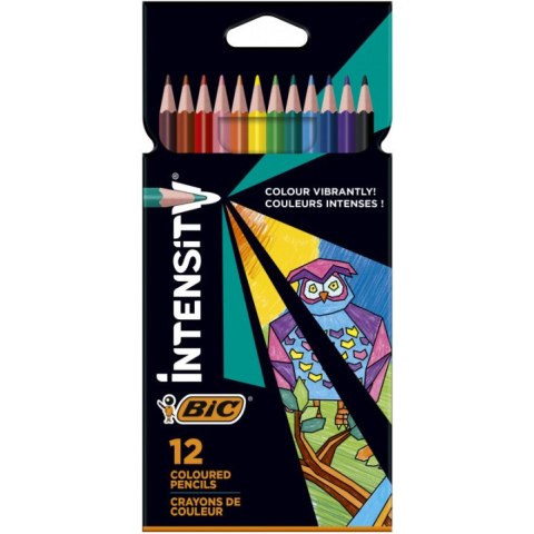 Kredki ołówkowe BiC Color Up! 12 kolorów Kredki ołówkowe BiC Color Up! 12 kolorów