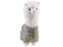 Alpaka puszysta maskotka lama pluszak 28cm ZA4402 Alpaka puszysta maskotka lama pluszak 28cm ZA4402