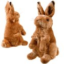 Maskotka Zając siedzący pluszowy królik 25cm 13463 Maskotka Zając siedzący pluszowy królik 25cm 13463