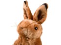 Maskotka Zając siedzący pluszowy królik 25cm 13463 Maskotka Zając siedzący pluszowy królik 25cm 13463