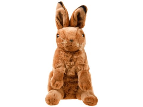 Maskotka Zając siedzący pluszowy królik 25cm 13463 Maskotka Zając siedzący pluszowy królik 25cm 13463