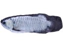 Ryba maskotka zabawka porusza ogonem USB ZA5353 Ryba maskotka zabawka porusza ogonem USB ZA5353