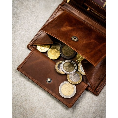 Pionowy, skórzany portfel męski w brązowym kolorze bez zapięcia zewnętrznego - Peterson